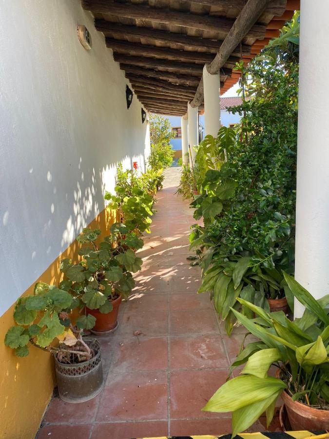 Casa De Sao Cucufate - Casa De Campo Vila de Frades ภายนอก รูปภาพ